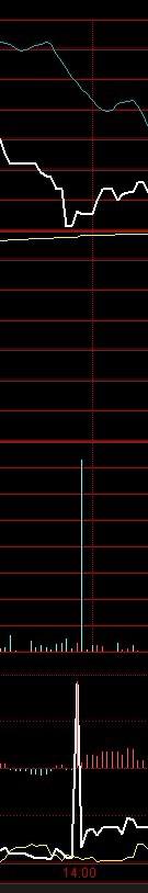 2月13日中午13:57东方园林成交了个518手的大单,后面显示的是红色B,但...