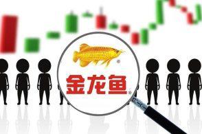 金龙鱼上市A股,市值超3000亿,它有望进入500强么?