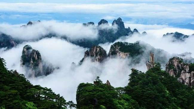 黄山旅游业遭重创,疫情下旅游业该如何生存?