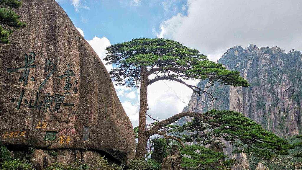 黄山旅游业遭重创,疫情下旅游业该如何生存?