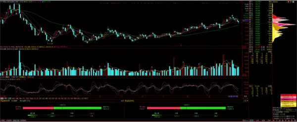 金发科技股票怎么样？如何评价？