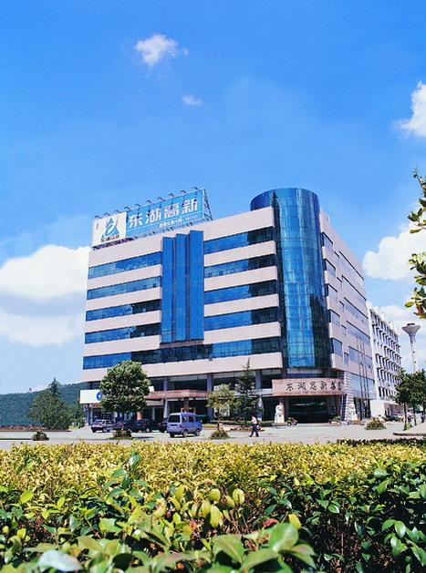 武汉东湖高新集团股份有限公司的概念内容：