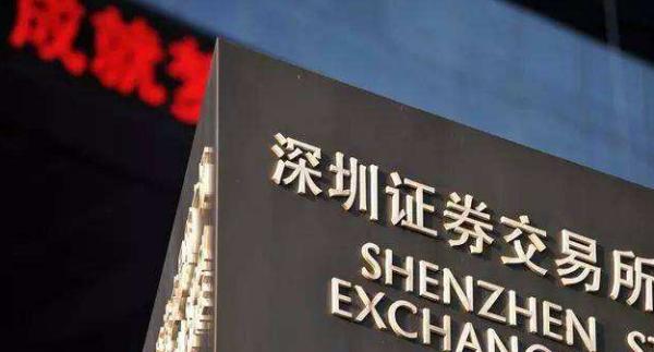舍得就业发布公司股票被ST，被ST的原因是什么？